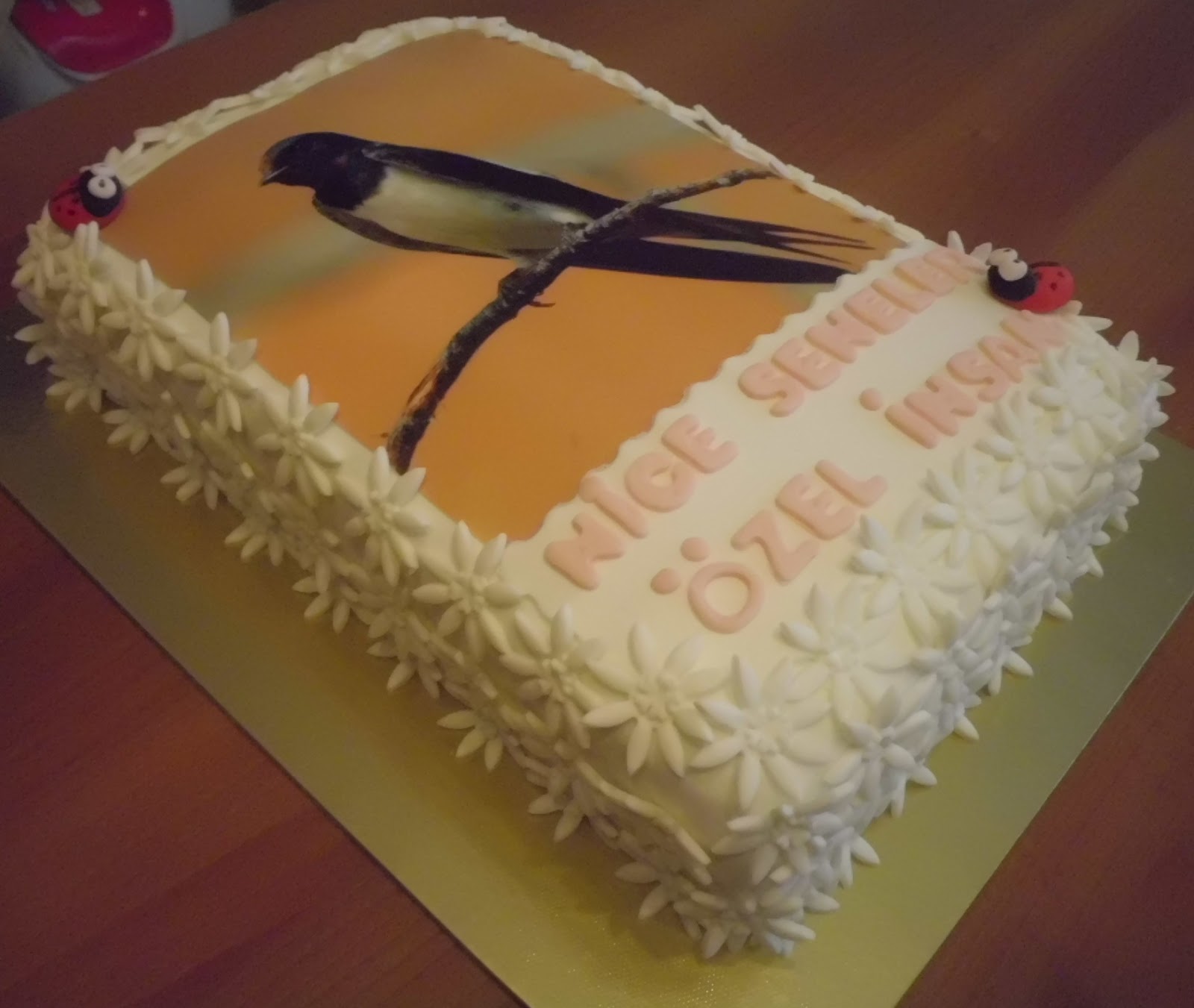 Lerna�nın Pasta Evi Kırlangıç Pastası