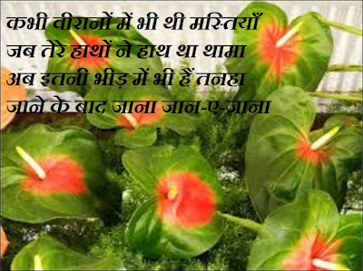 Dil Ko Chu Jane Wali Kahaani Dil Ko Chu Jane Wali Kahaani