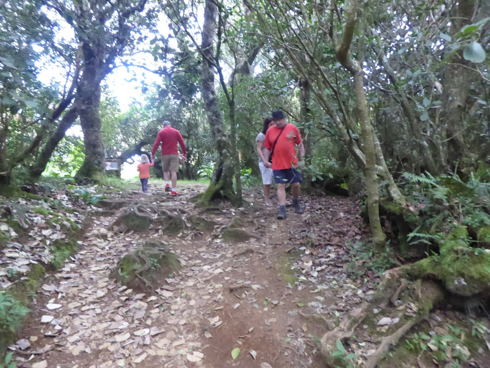 de Voyages de Jacqueline D. Notre Dame de la Paix