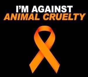 Animals deserve Respect
