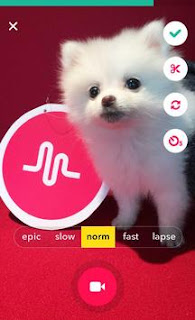 Musical.ly APK Musical.ly APK