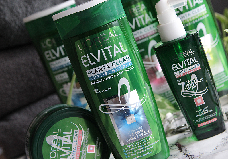 Miss von Xtravaganz [Review] L