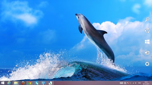 Dolphin Animal Theme For Windows 7 And 8 8.1 | Ouo Themes