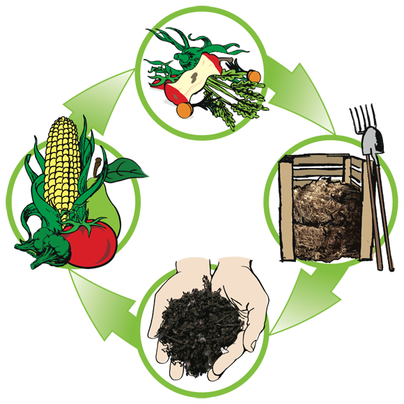 PenniTalk Why Can Compost be the Next Recycling?