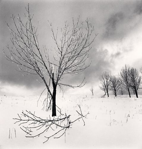 FOTOS DE LAS 4 ESTACIONES