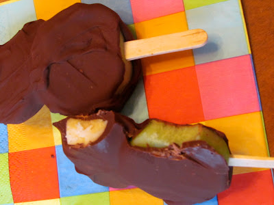 Frozen Chocolate Covered Fruit Pops