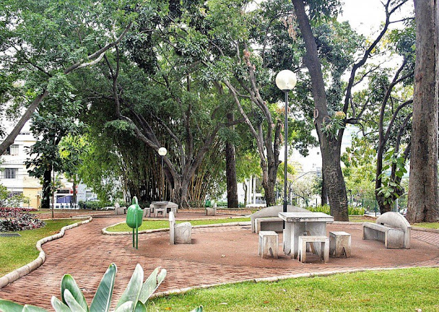Lugares para passear com o shih tzu em SP-RJ-BH-SALVADOR
