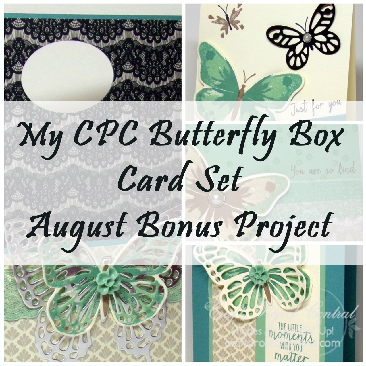 My CPC Butterfly Box Card Set August Bonus Project [Create With Christy]
