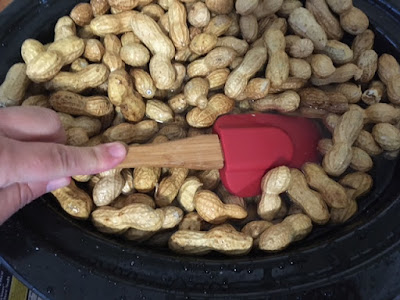 Raw Peanuts float in water while cooking in the crockpot slow cooker