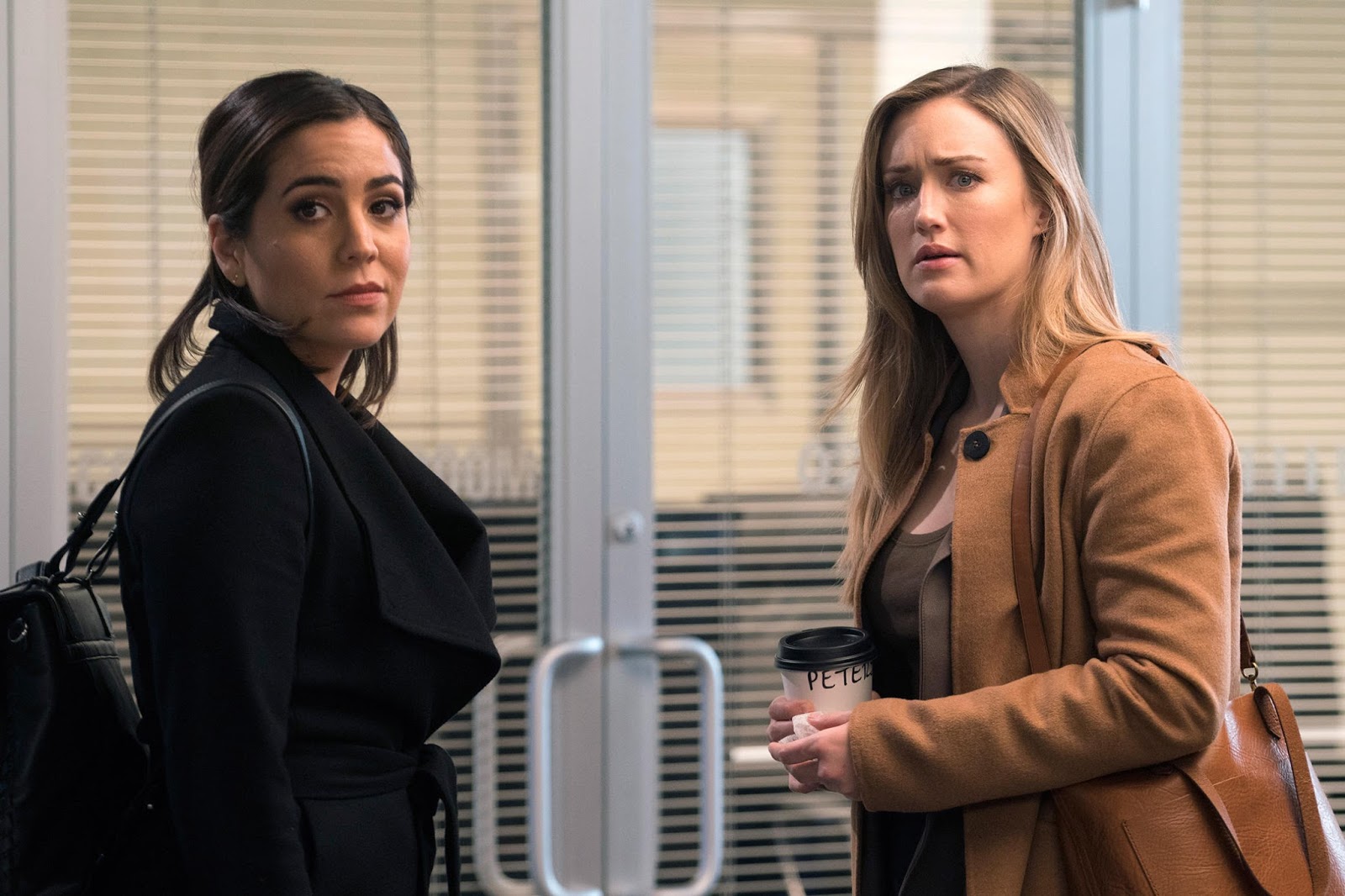 Blindspot 3x14 Review "Everlasting" (Listen to Patterson) [Contributor