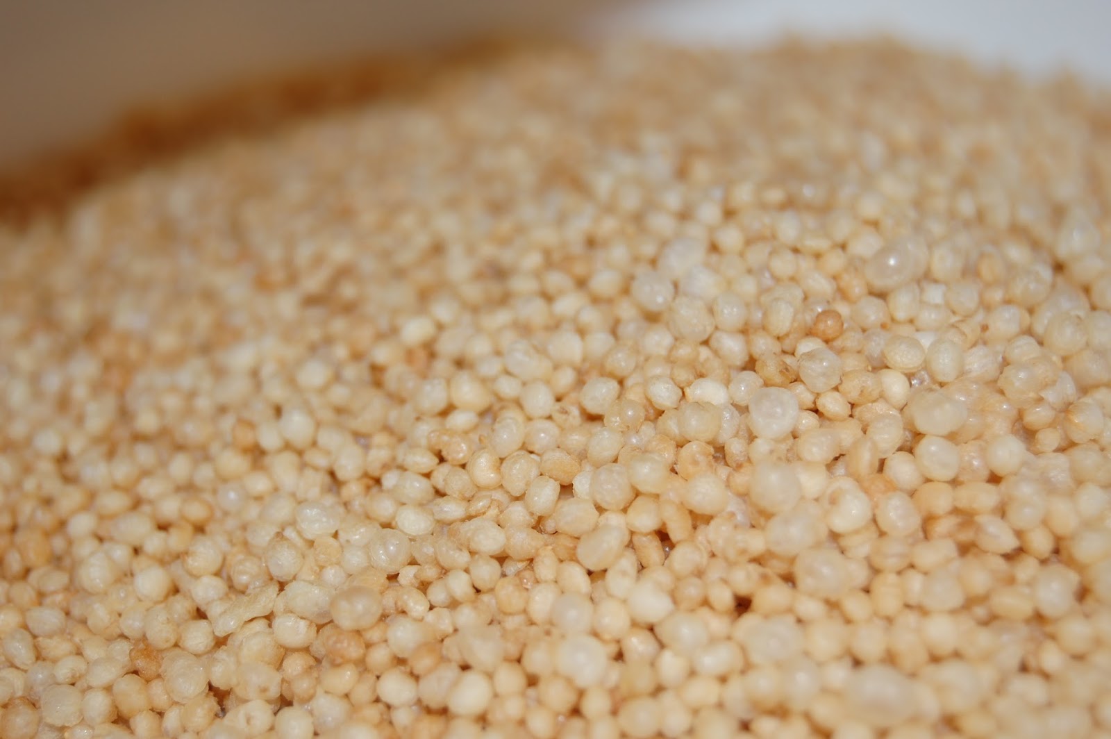 Kitchen Curiosities and more... Puffed Quinoa Energy Bars