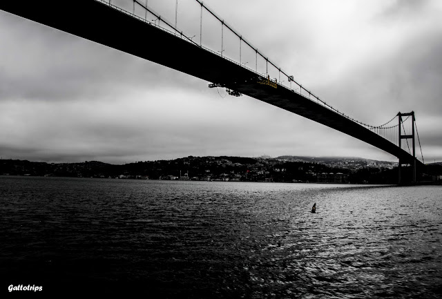 Crucero por el Bósforo y la noche turca - Estambul - Recuerdo de Constantinopla (2)