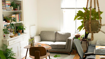 ¿Porque decorar nuestro hogar con flores y plantas?