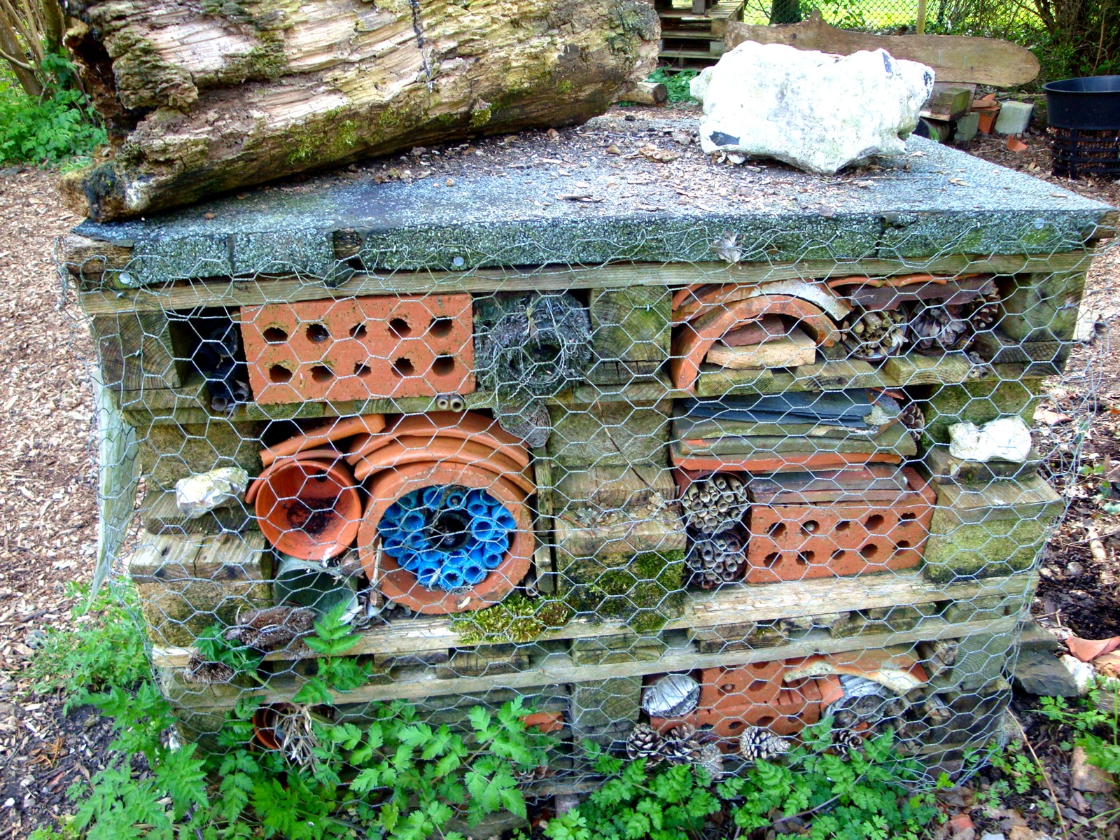 The Insect Hotel
