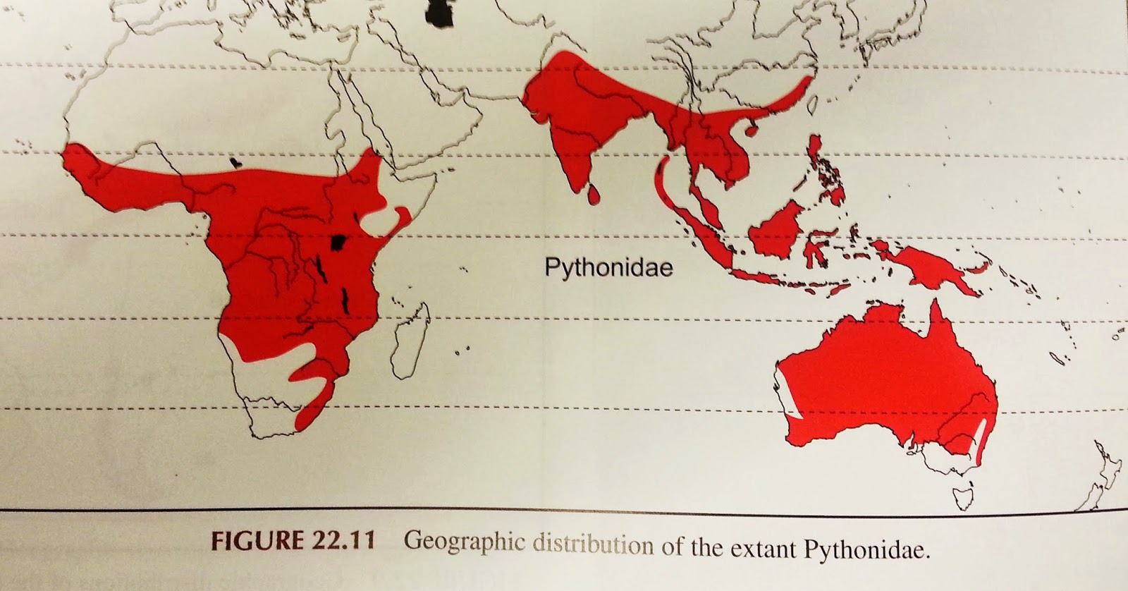 Biology of the Reptilia: Worldwide Reptile Diversity - Cleveland ...