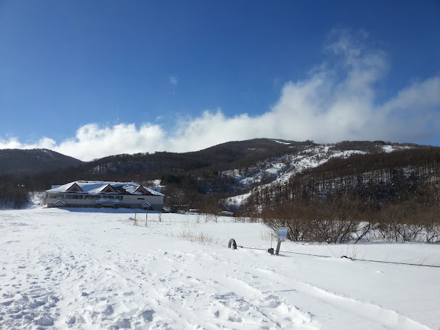 ﾊﾞｯｸｶﾝﾄﾘｰｽｷｰ＠赤面山