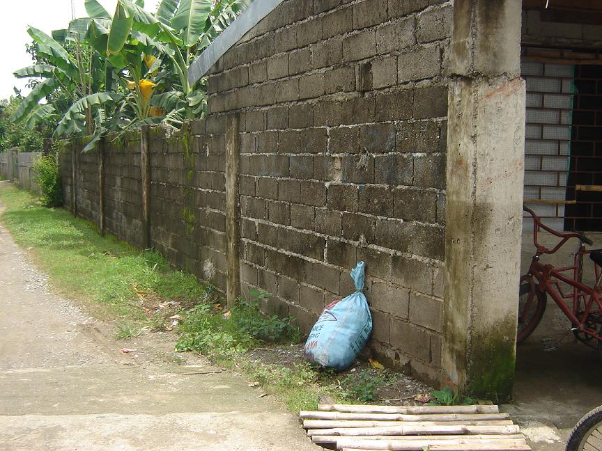 Semideveloped Lot For Sale Mapandan Pangasinan Reynan8 FastLane