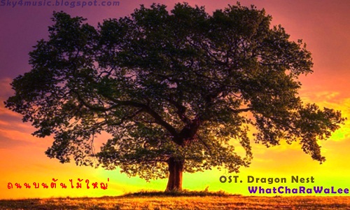 single whatcharawalee sky4music single whatcharawalee sky4music