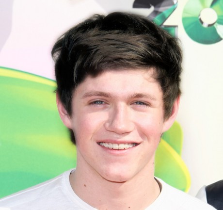 niall horan natural hair