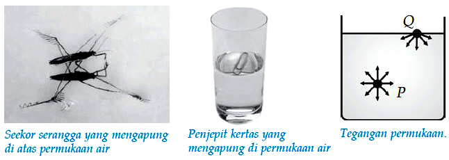 Yuk Mojok!: Contoh Soal Tegangan Permukaan Kelas 11