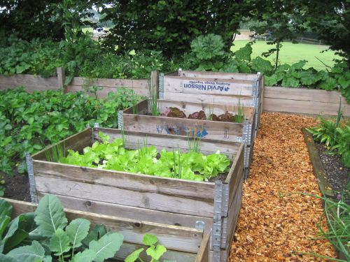 Töpfern für den Garten: Juni 2011