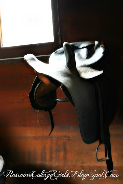 Photo of an old saddle in the sunlight from the window giving a warm glow at the Belle Meade Plantation | RosevineCottageGirls.com
