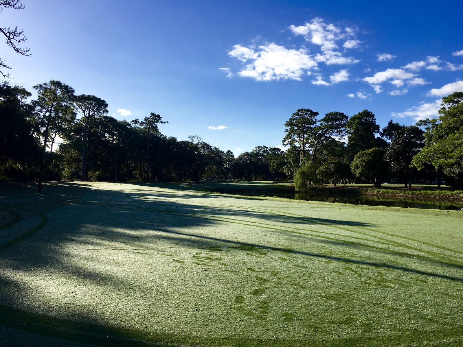 TASTE OF HAWAII INNISBROOK GOLF RESORT COPPERHEAD COURSE