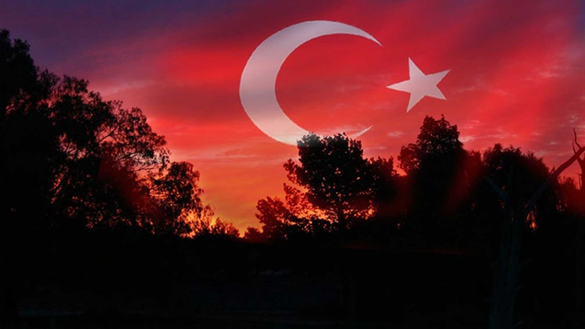 Turk bayragi resimi 8