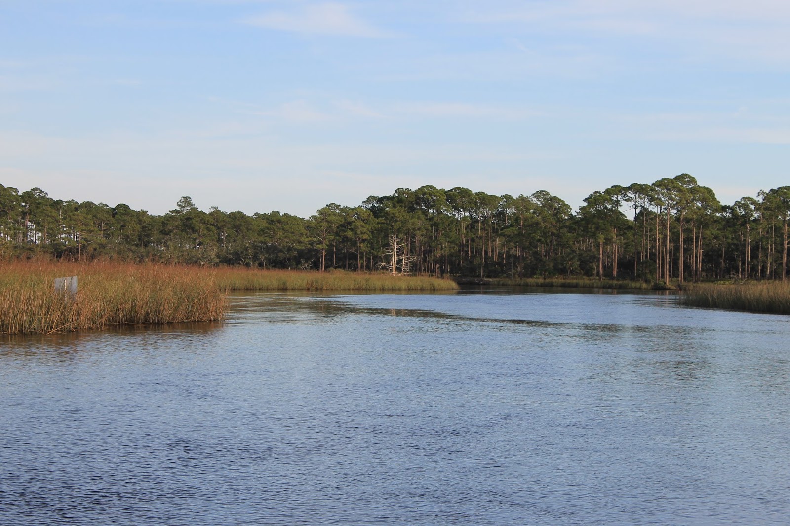 lovemycamper Ochlockonee River State Park, Sopchoppy, FL