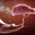 This Is What Happens Inside Your Body When You Eat Pork Everyday