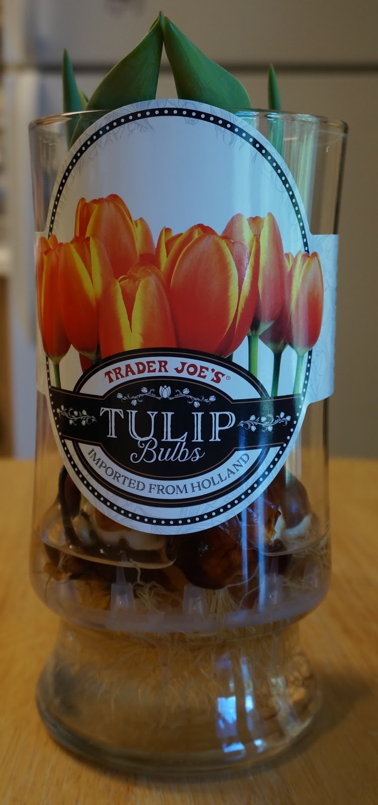 Exploring Trader Joe's Trader Joe's Tulip Bulbs