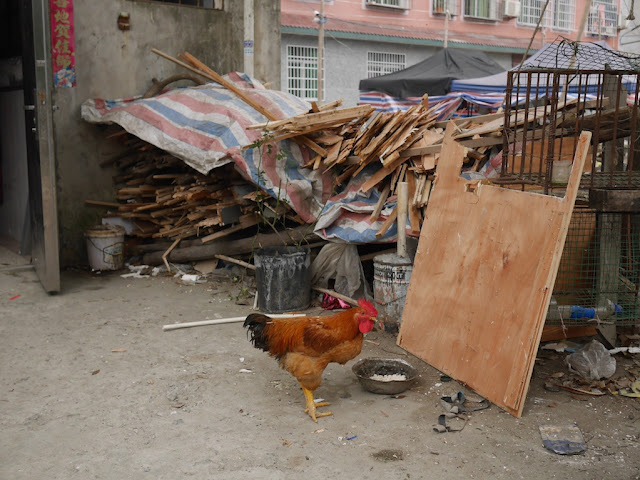 chicken next to a bowl of rice