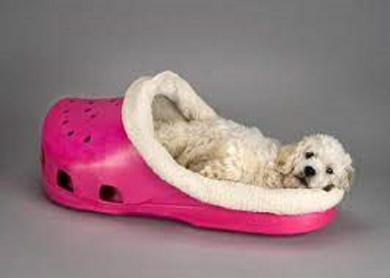 Pet beds for dogs...