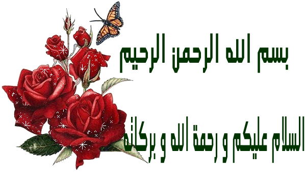 ����������� ������ �� ������ ������ 8bb020d63273a477aa56
