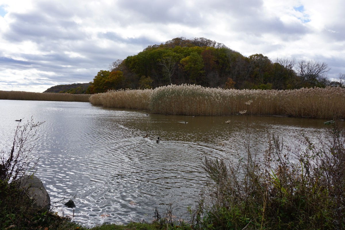 Harriman Hiker Harriman State Park and Beyond Piermont Pier and Marsh