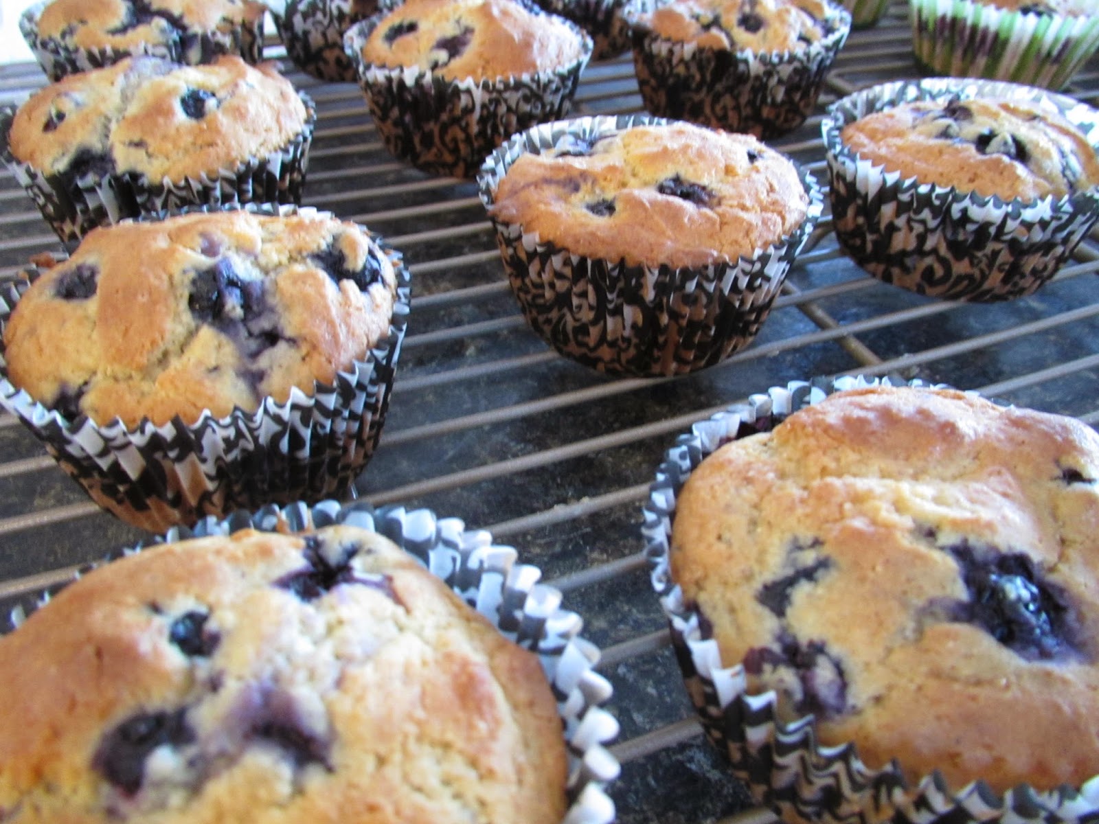 successfully-gluten-free-blueberry-muffins
