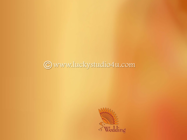 Wedding Album Background