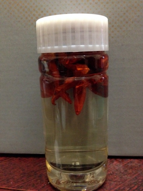 山とランニングの日記 唐辛子液 虫との戦い