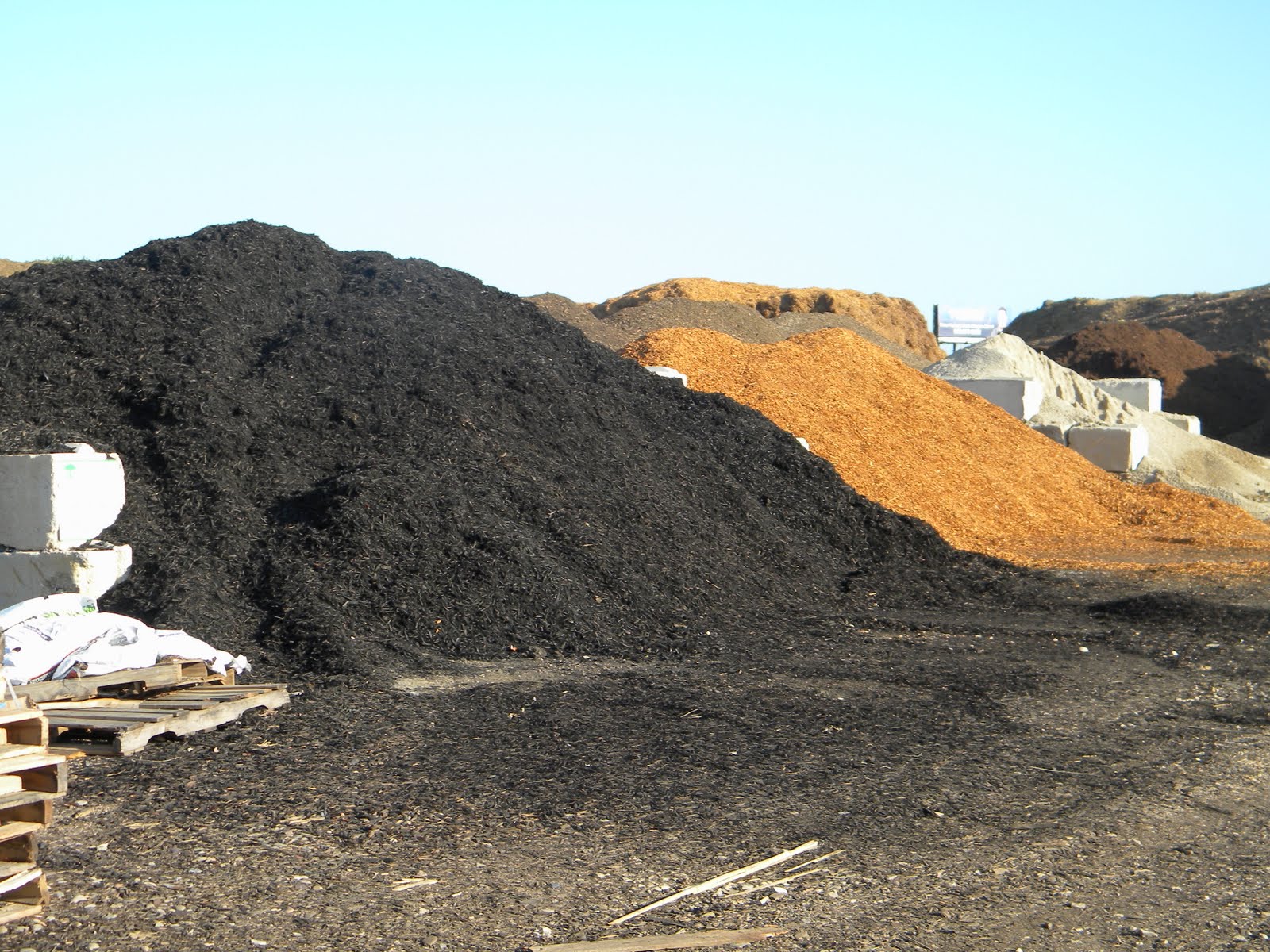 SUST 5304 Summer II JRyan Living Earth Technology Company Dallas, TX