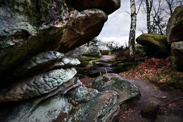 Sentier des étroitures, forêt de Fontainebleau.