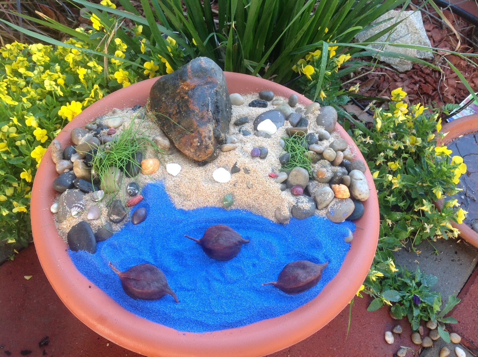 Grandma's Enchanted Fairy Garden Such Growth Budget Garden Update