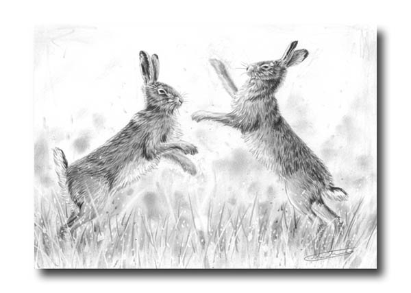 read pharmacology a handbook for complementary healthcare read pharmacology a