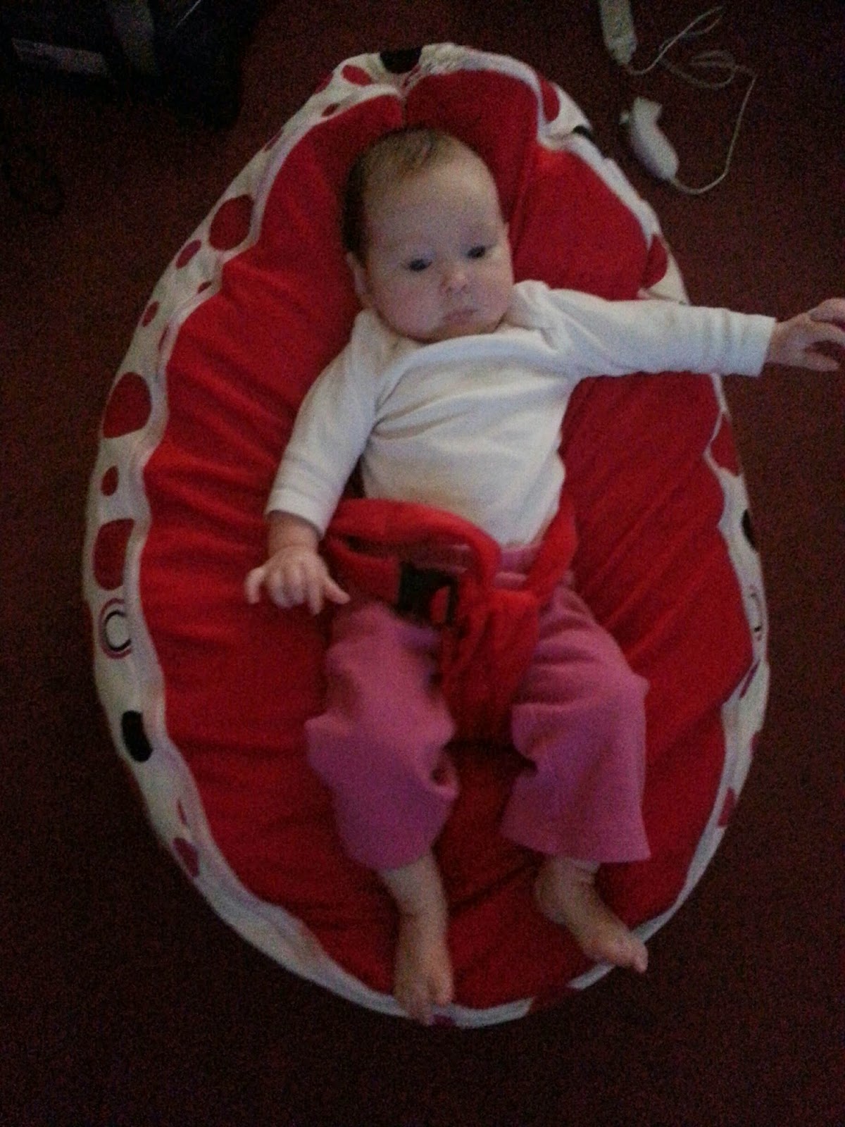 BabyB Brand Bean Bags Review Momma4Life