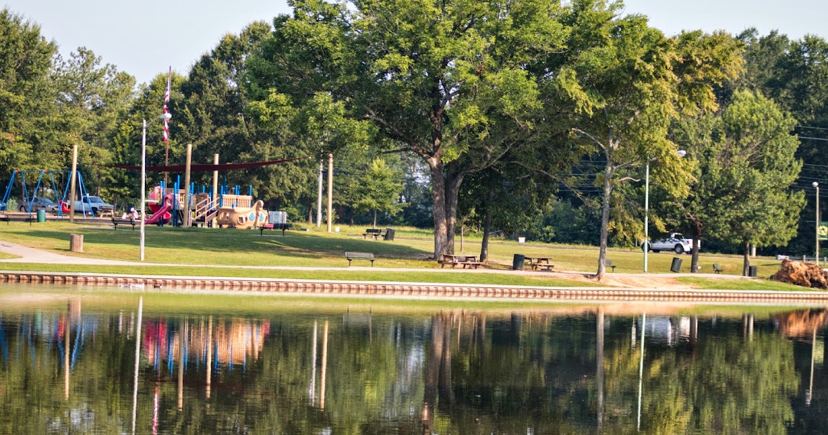 A Breath of Nature A Walk Through Ballard Park