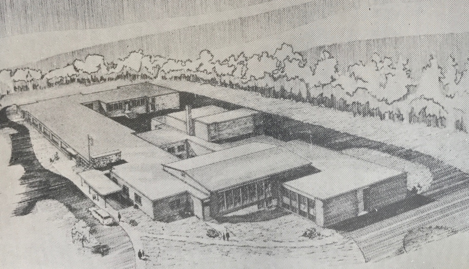 Walpole Timeline 19502000 1969