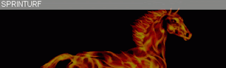 SPRINTURF site de PMU