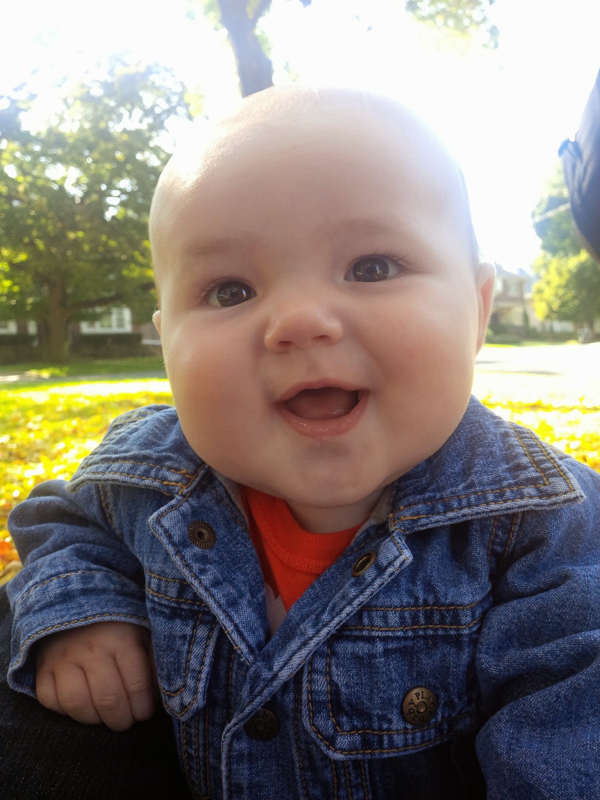 How To A Gerber Baby We did not find results for Download