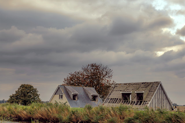 Old houses and trees under stormy clouds at Ouse Washes in Cambridgeshire