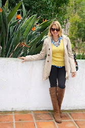 fly birds rainbow why