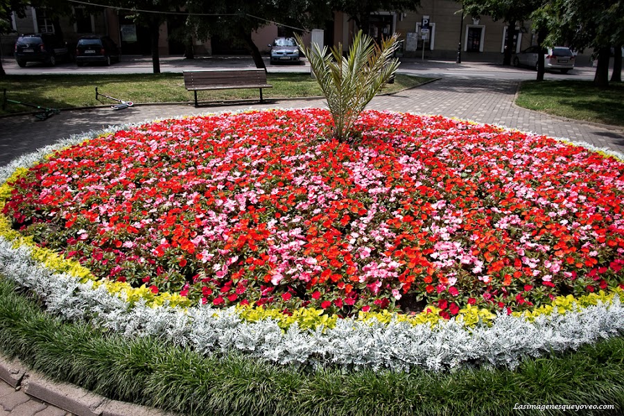 Bistrita. Transilvania. Rumanía. Romania